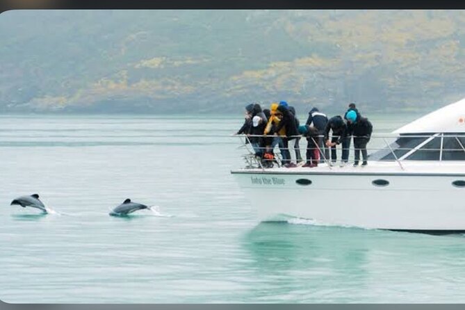 Private Akaroa Day Tour From Christchurch - Who should book this Akaroa experience