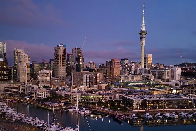 Private Auckland Airport Transfer to/from Auckland Hotels -SUV - Driver quality and the personal touch