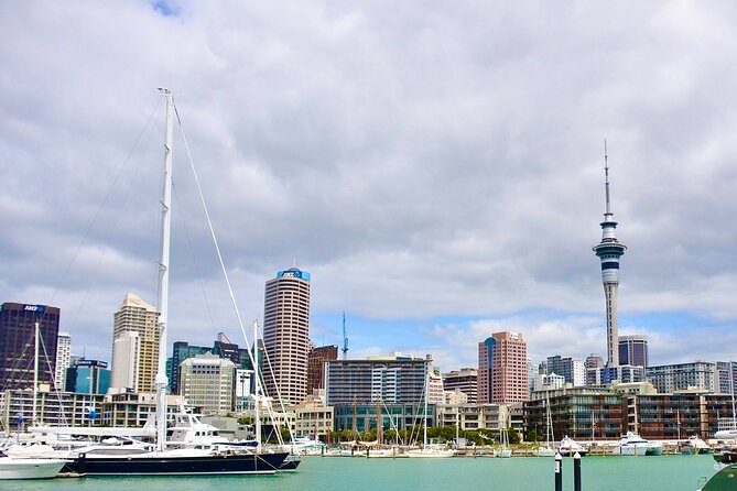 Private Auckland best Spots + Piha beach and rainforest day Tour - Why this private Auckland day works