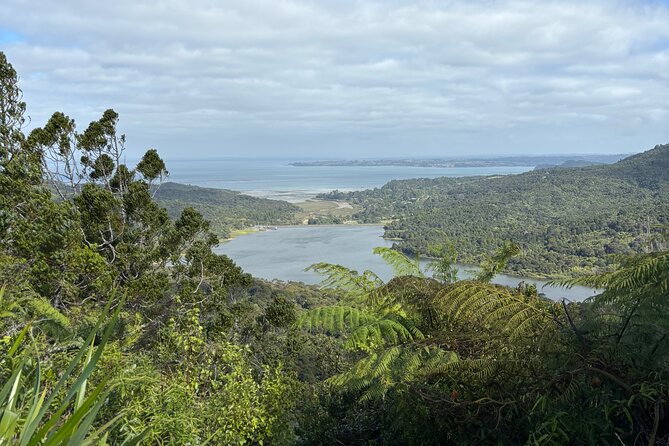 Private Auckland best Spots + Piha beach and rainforest day Tour - Westhaven Marina: Auckland’s boating heart