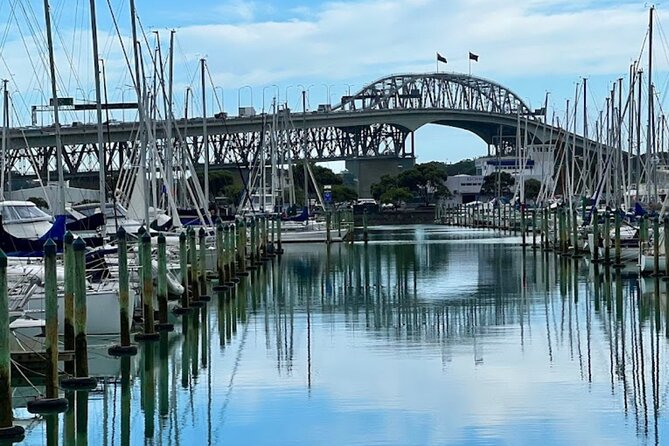 Private Auckland Best Top 5 Spots Half day Tour - Mission Bay: Auckland’s easygoing waterfront side