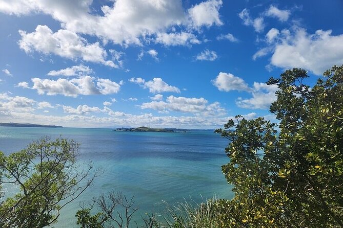 Private Auckland Best Top 5 Spots Half day Tour - Timing, pickup, and the practical details