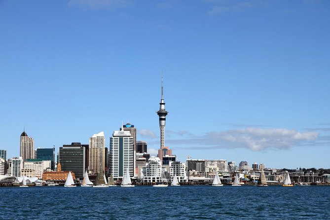 Private Auckland City Tour For Small Group in a luxury vehicle. - Key points to know before booking