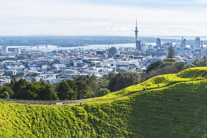 Private Auckland City Tour Including Auckland Tour House Visit - Key points to know before you book