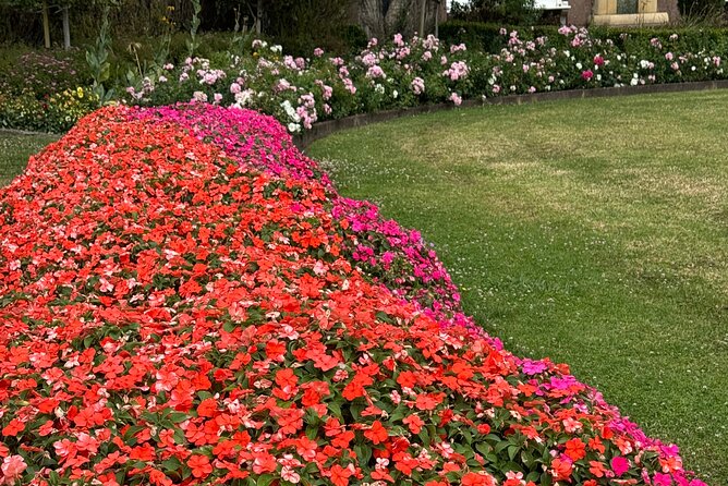 Private Auckland City Tour Including Auckland Tour House Visit - Booking timing, weather, and reliability