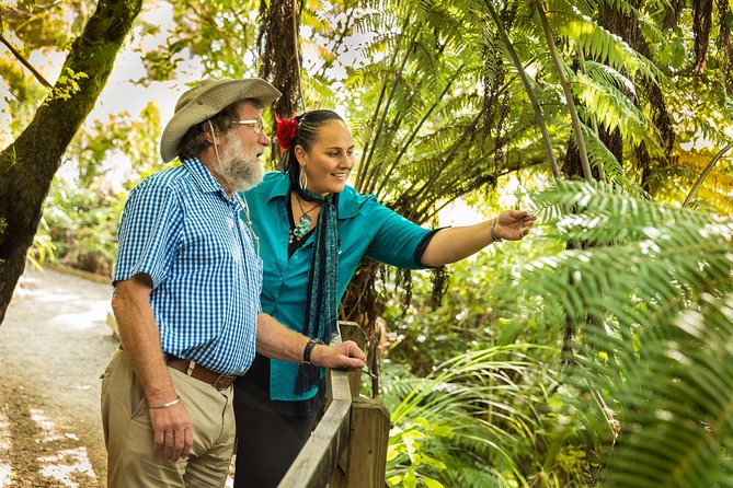 Private Auckland Half Day Tour - Mission Bay gives you a beachside pause