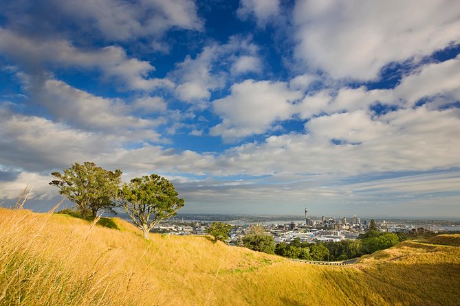 Private Auckland Half Day Tour - Tamaki Drive: Auckland’s best urban viewpoint