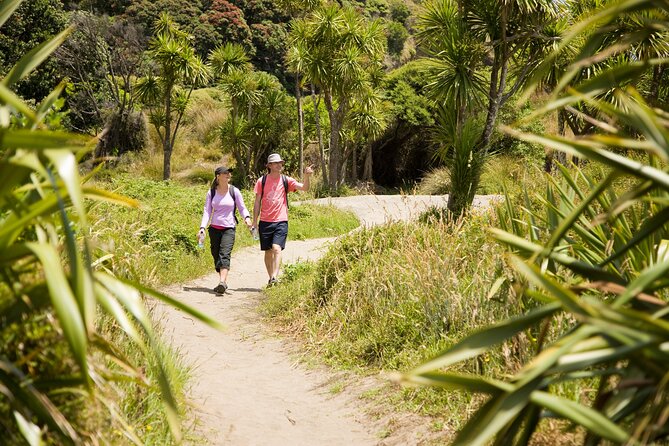 Private Auckland Luxury Tour - Mount Eden, Auckland’s volcanic viewpoint