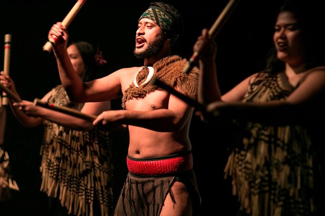 Private Auckland Maori Luxury Tour - Why a Private Auckland Tour Can Be Worth the Cost