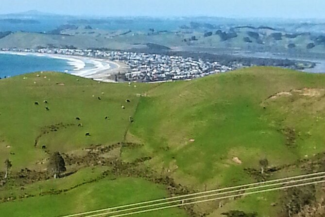 Private Auckland North Eastern Coast Tour - Why this route feels different from an Auckland city tour