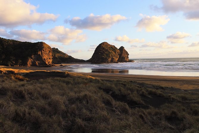 Private Auckland's West Coast - Piha/ Muriwai - Wild West Tour - Piha Beach and the famous black sand