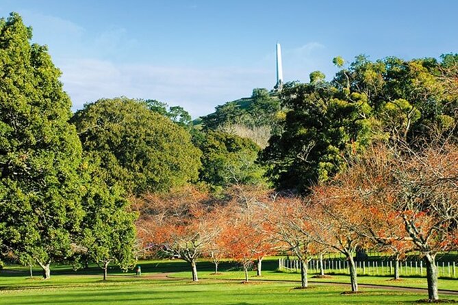 Private Auckland Sightseeing - Full Day/Half Day Hidden Gems Tour - Why this private Auckland tour works