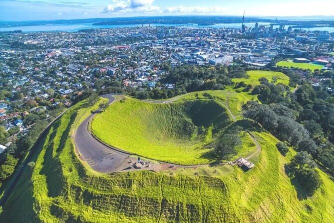 Private Auckland Sightseeing - Full Day/Half Day Hidden Gems Tour - Waterfalls and forest walks in the Waitākere Ranges