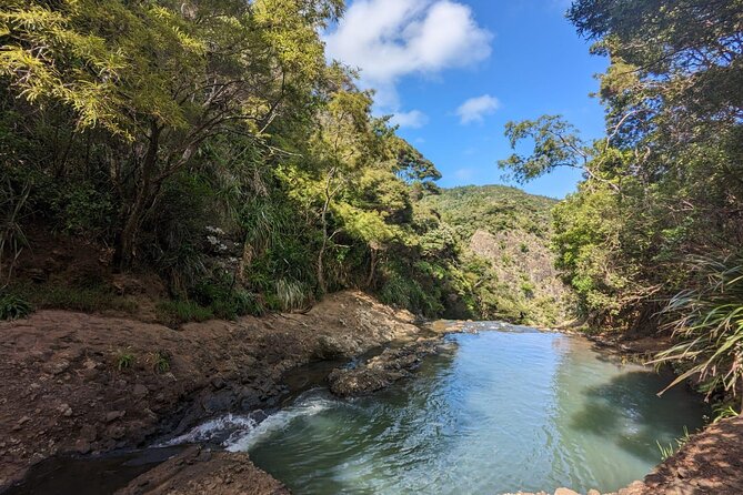 Private Auckland Sightseeing - Full Day/Half Day Hidden Gems Tour - Wine country in Kumeu