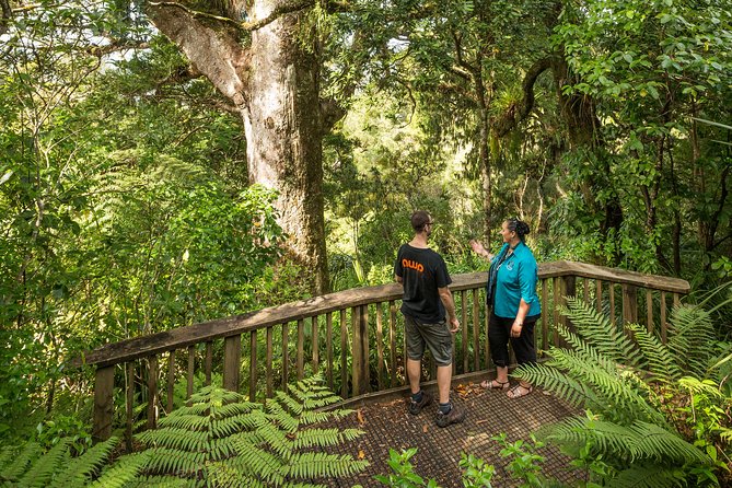 Private Auckland West Coast Day Tour - Key points to know before booking
