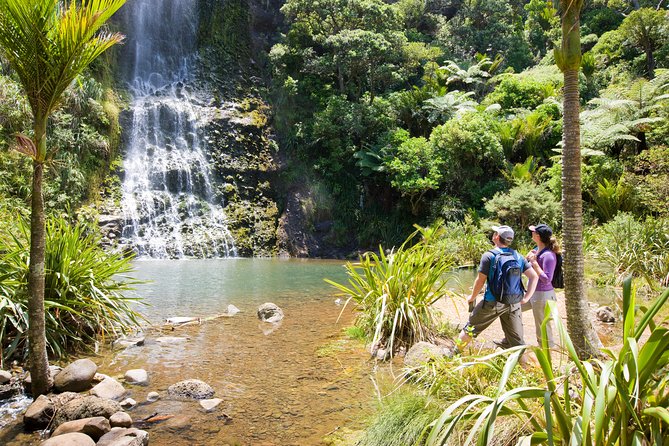 Private Auckland West Coast Day Tour - Arataki Visitor Centre and the Waitakere Ranges