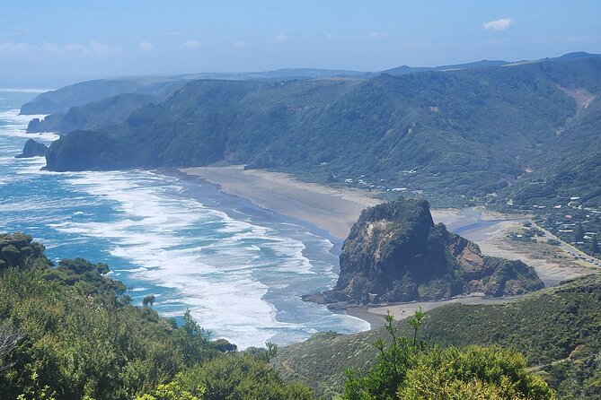 Private Auckland West Coast Karekare Falls, Rainforest and Piha - Arataki Visitor Centre gives you the big picture