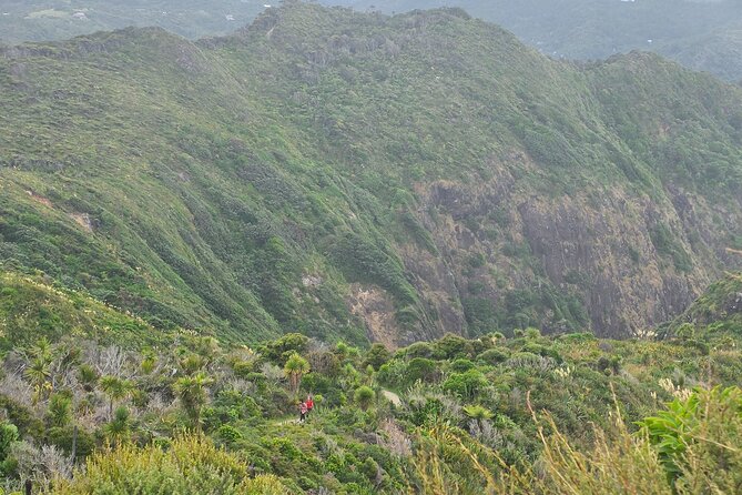 Private Auckland West Coast Karekare Falls, Rainforest and Piha - Piha Beach finishes with black sand and surf