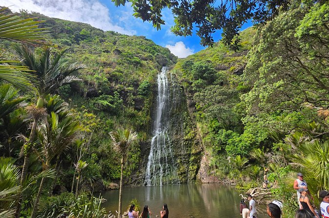 Private Auckland West Coast Karekare Falls, Rainforest and Piha - What the private vehicle adds to the experience