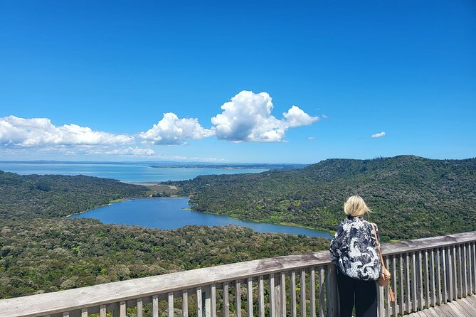 Private Auckland West Coast Karekare Falls, Rainforest and Piha - Practical planning for your west coast day