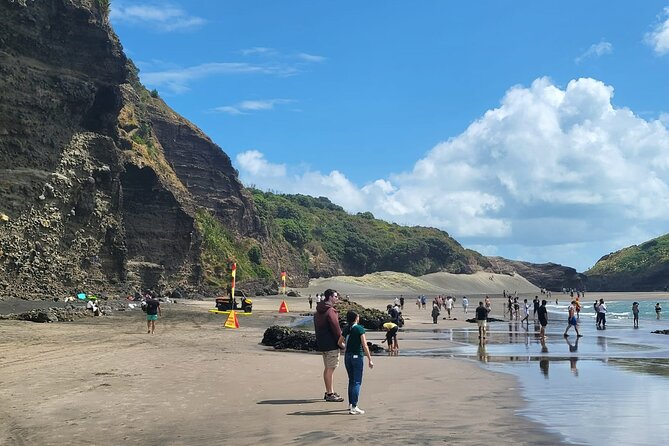 Private Auckland West Coast Tour Piha Beach and Karekare Falls - What the private vehicle adds