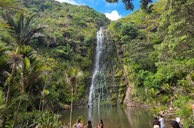 Private Auckland West Coast Tour Piha Beach and Karekare Falls - Timing, fitness, and the best type of visitor