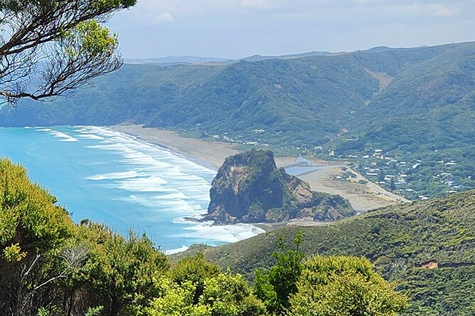 Private Auckland West Coast Tour Piha Beach and Karekare Falls - Starting at Arataki Visitor Centre