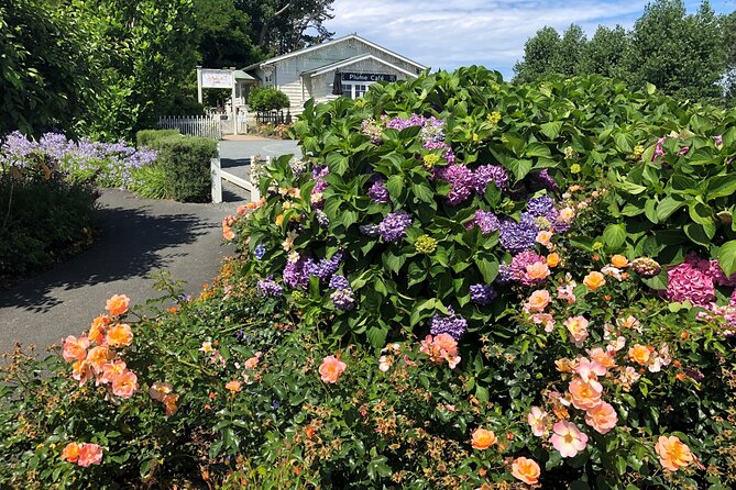 Private Auckland Wine & Dine Matakana Country & Cuisine - What the $586.44 Price Buys You