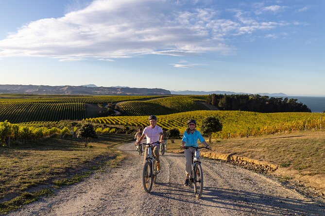 Private Biking Wine Tour (full day) in the Marlborough Region - Starting at The Vines Village at 9:30 am