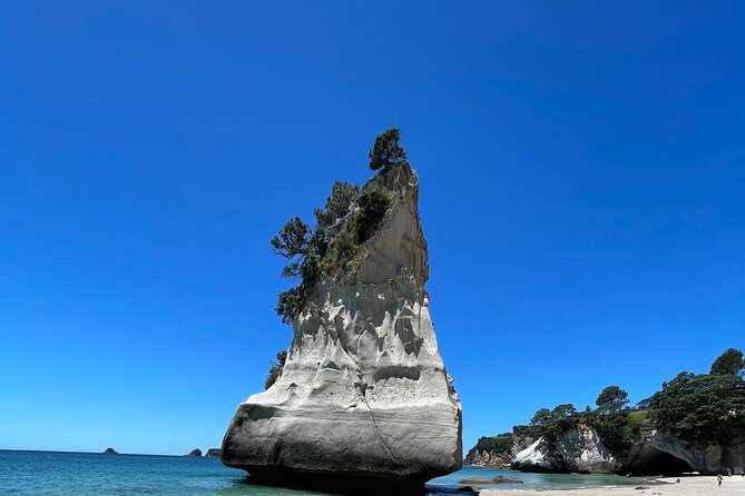 [PRIVATE] Cathedral Cove and Hot Water Beach - Key things to know before booking