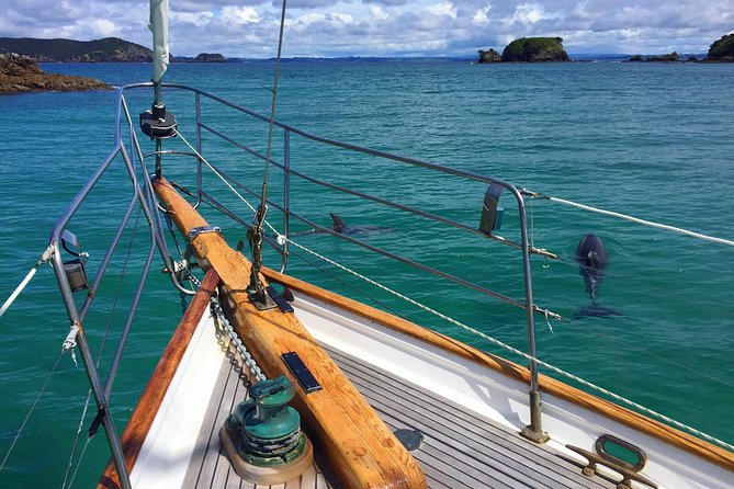 Private Charter Bay of Islands - Key points to know before booking