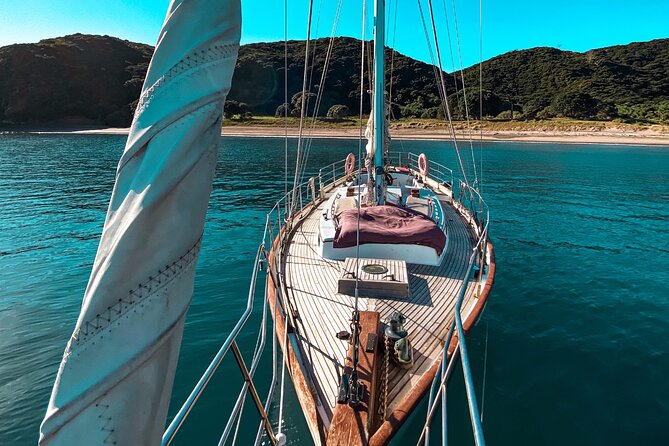 Private Charter Bay of Islands - Why a private charter works so well here