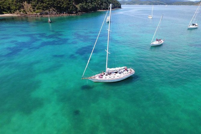 Private Charter Bay of Islands - The Vigilant: three hours aboard a 42-foot cutter