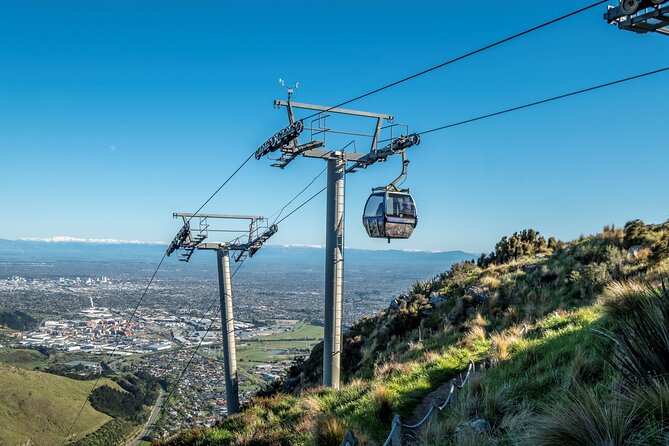 Private Cruise Ship Passengers Tour, Sightseeing in Christchurch - What the NZ$434.40 price really buys