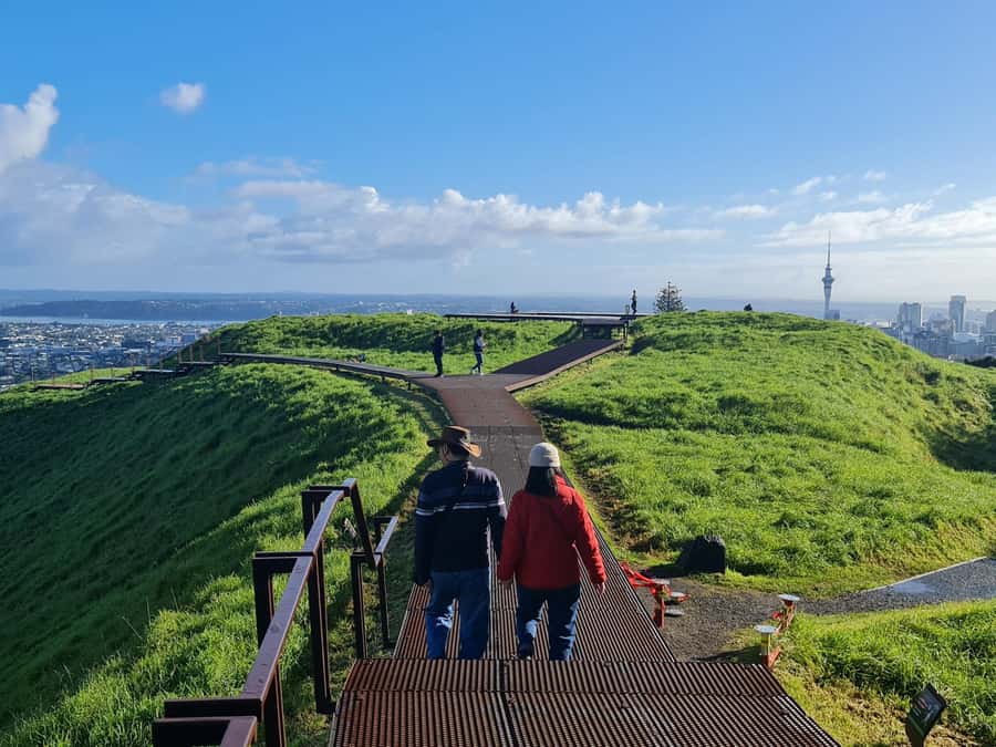 Private Custom: Auckland City Hidden Gem Tour - Domain Wintergardens close the city loop