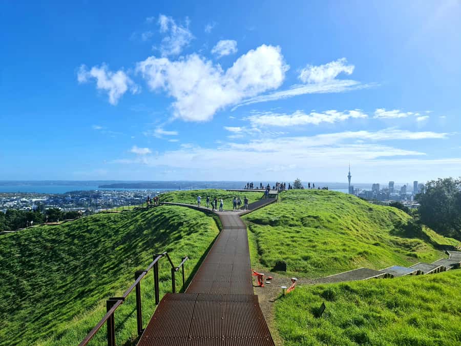 Private Custom: Auckland City Hidden Gem Tour - Sean Kim and the value of a capable guide