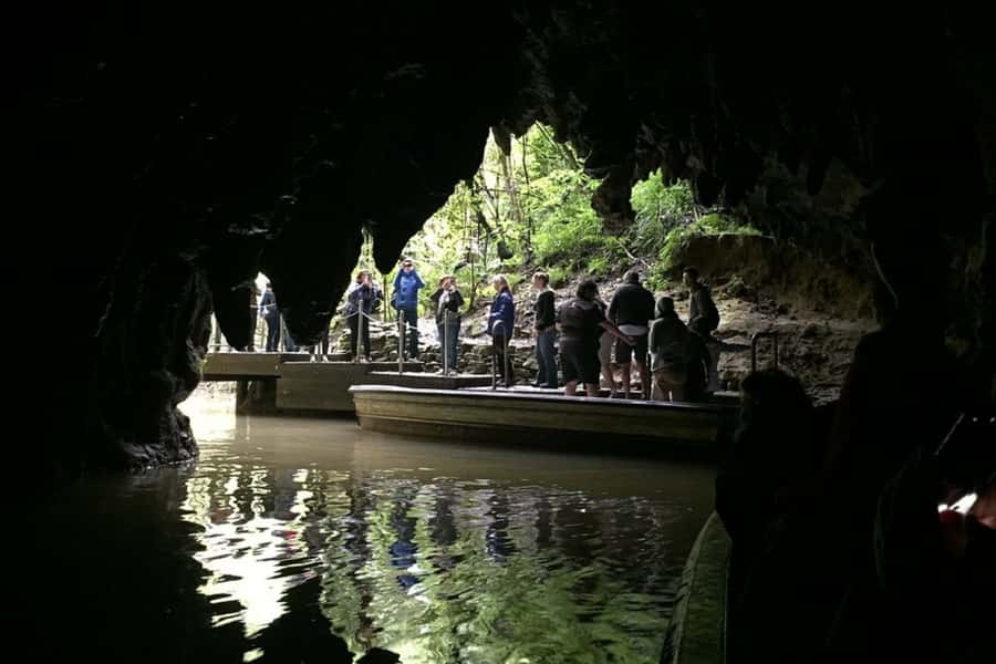 Private Day Tour: Waitomo Glowworms & Hobbiton Movie Set - Waitomo Glowworm Caves by boat