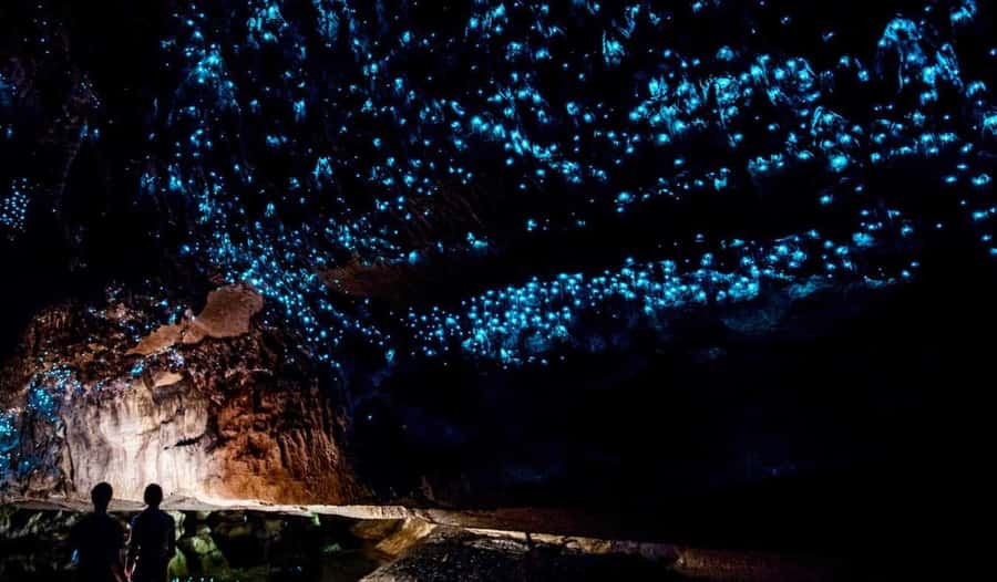 Private Day Tour: Waitomo Glowworms & Hobbiton Movie Set - Who should book this tour?