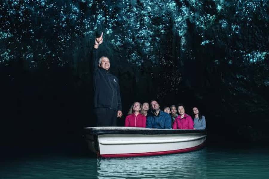 Private Day Tour: Waitomo Glowworms & Hobbiton Movie Set - Starting with Hobbiton and the Shire