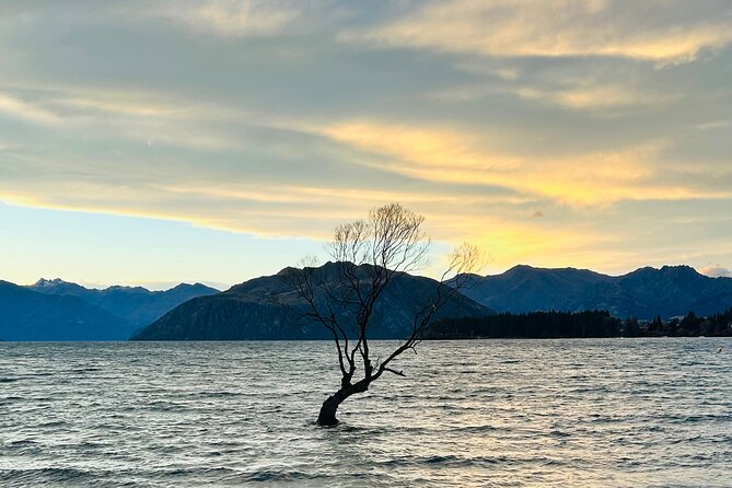 Private Driver Hire – Full-Day Touring-Auckland/Rotorua/Hamilton - Key points to know before booking