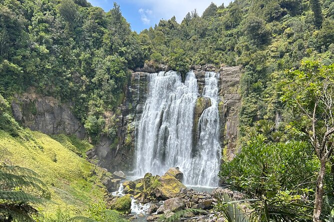 Private Driver Hire – Full-Day Touring-Auckland/Rotorua/Hamilton - What this Auckland private driver service really offers