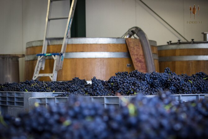 Private Driving Wine Tour (full day) in the Marlborough Region - Starting at Vines Village in the wine region