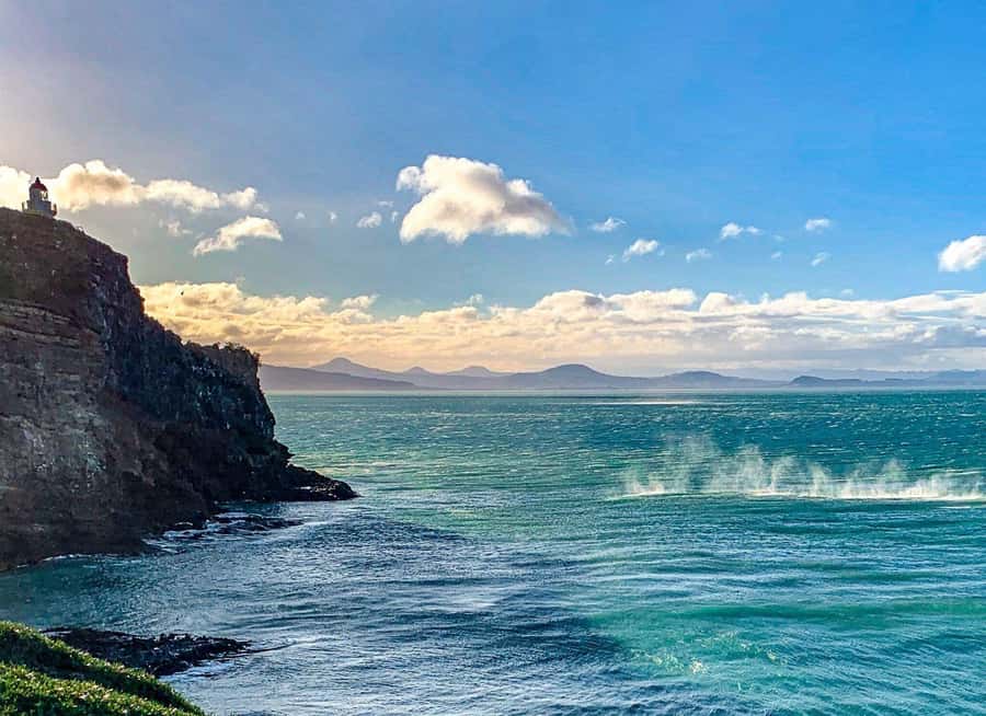 Private Dunedin City Highlights and Otago Peninsula Day Tour - How the six-hour timing feels