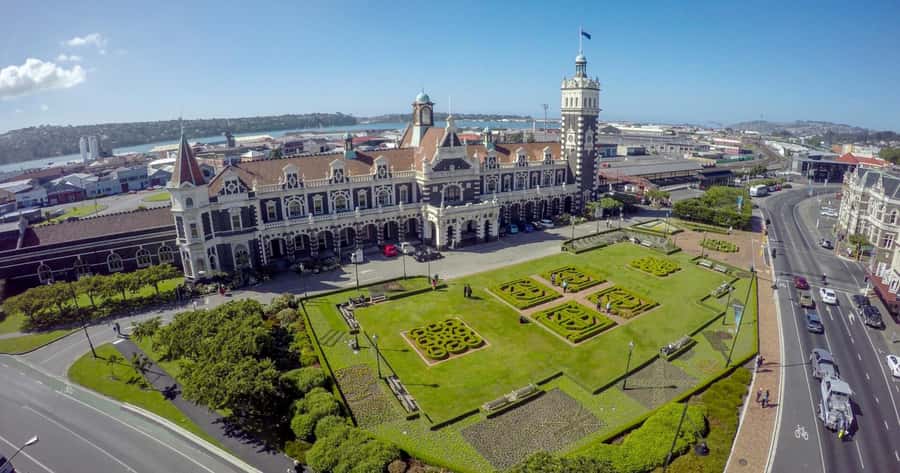 Private Dunedin City Highlights and Otago Peninsula Day Tour - Guides, driving, and the private format