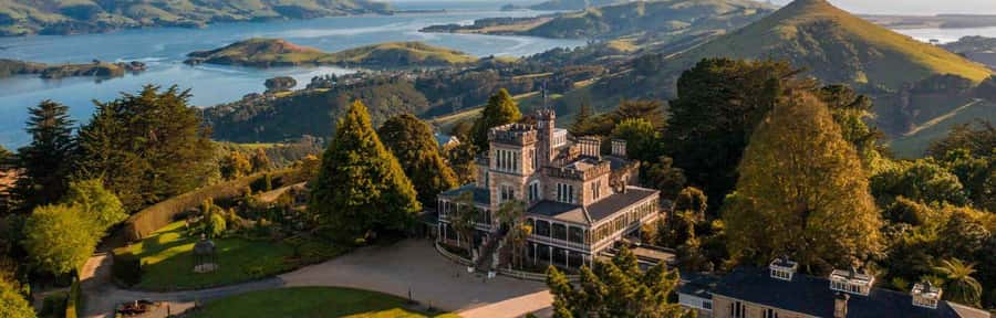 Private Dunedin City Highlights and Otago Peninsula Day Tour - Walking, weather, and who should book
