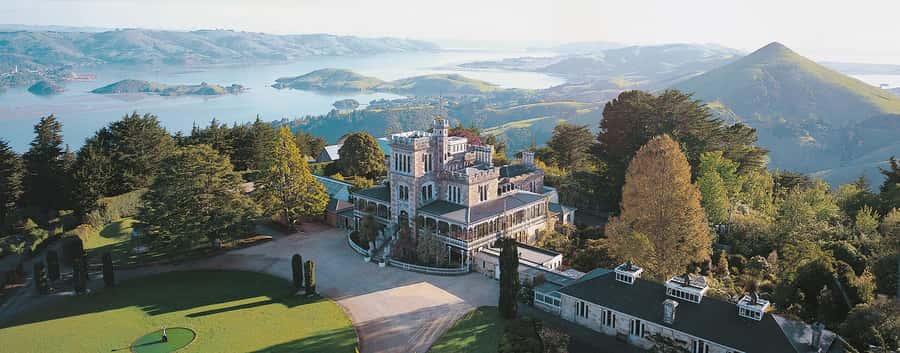 Private Dunedin City Highlights and Otago Peninsula Day Tour - Starting above Dunedin at Signal Hill