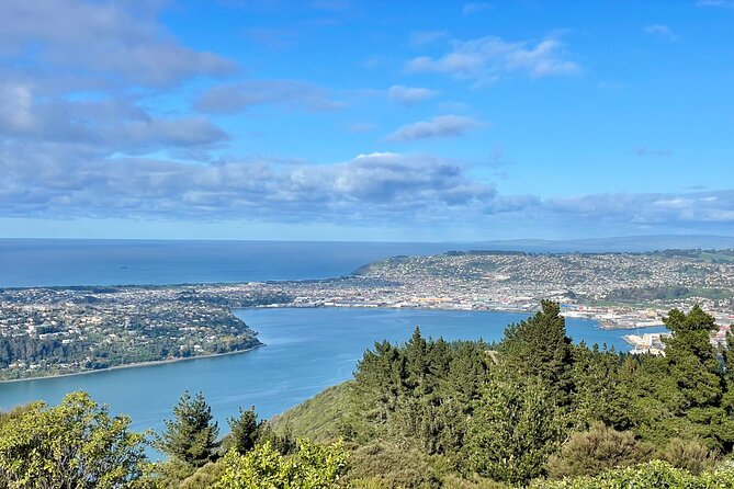 Private Dunedin & Otago Peninsula Day Tour Up to 4 - Starting above the city at Signal Hill