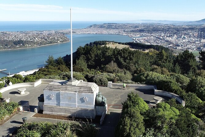 Private Dunedin & Otago Peninsula Day Tour Up to 4 - A quick look at Otago University