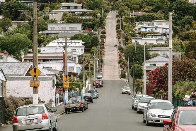 Private Dunedin & Otago Peninsula Day Tour Up to 4 - Dunedin Railway Station in fifteen minutes