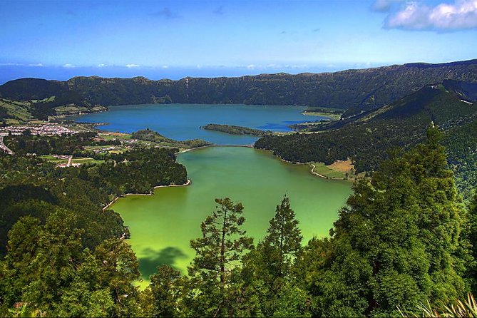 Private Full-Day Rotorua Tour from Auckland - Why a private Auckland to Rotorua day trip can work